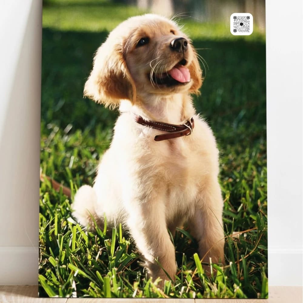 تابلو پت شما