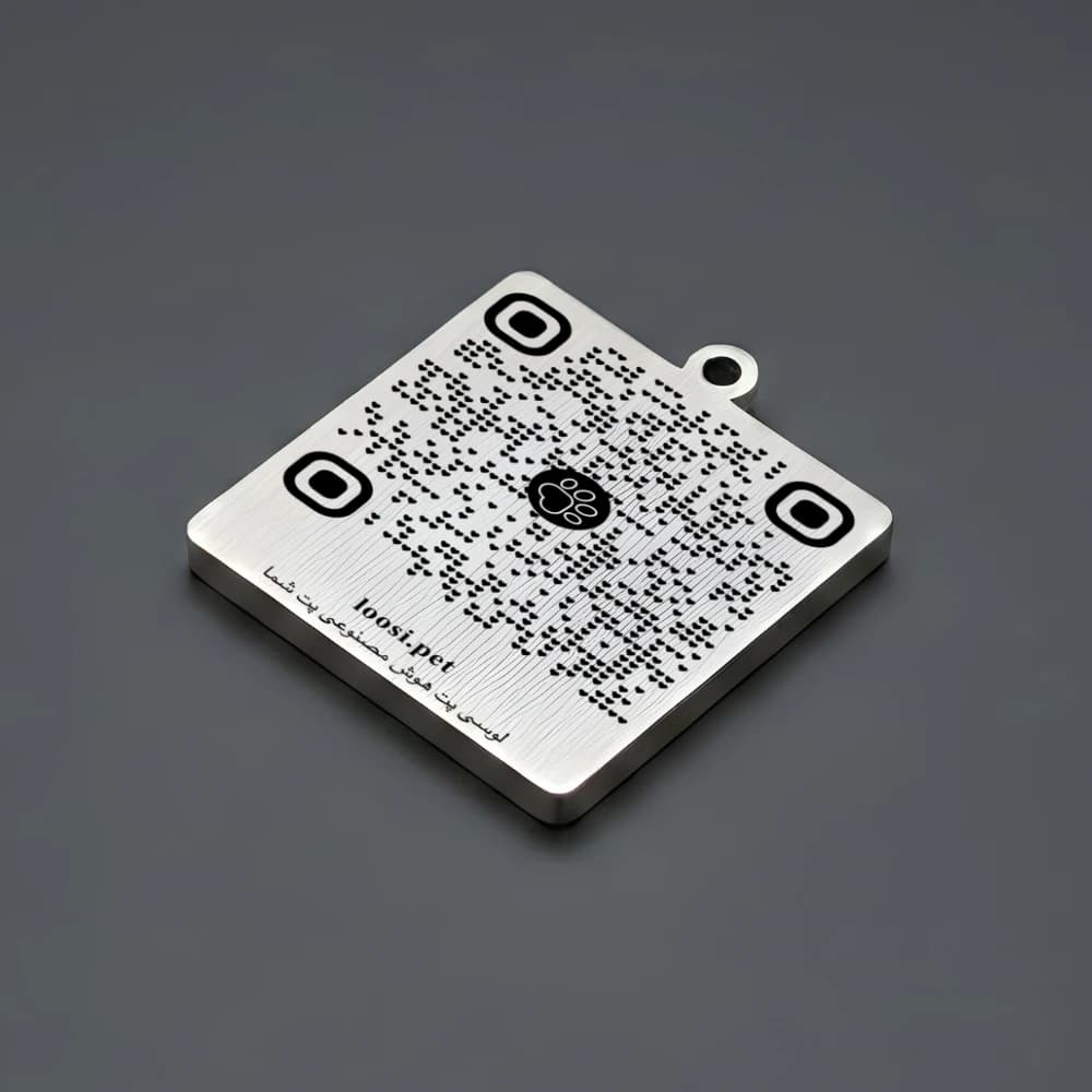 پلاک هوشمند لوسی نقرهای استیل